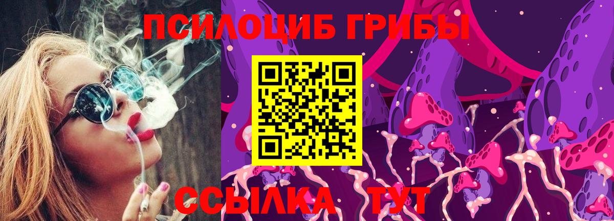 Галлюциногенные грибы Psilocybe Людиново